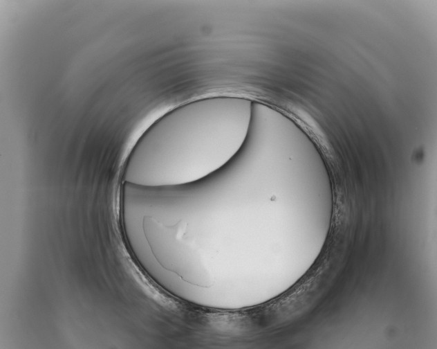 X0000090890804200707271037
