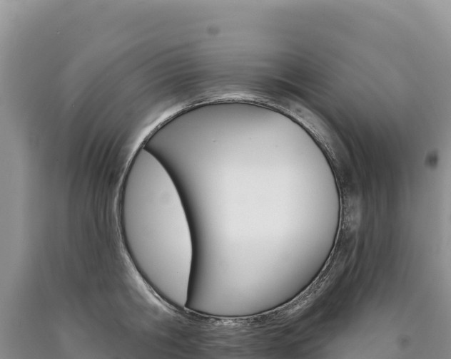 X0000090890806200707271037