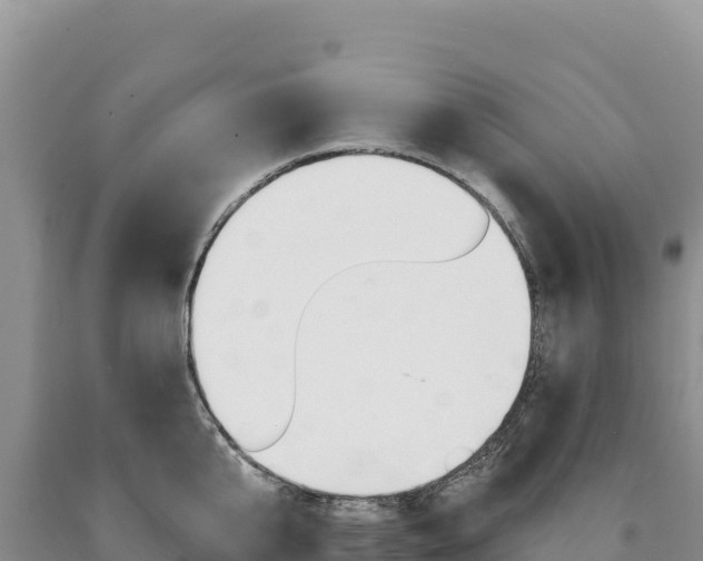 X0000090890807200707271037