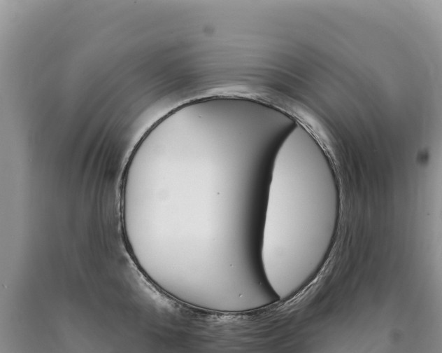X0000090890808200707271037