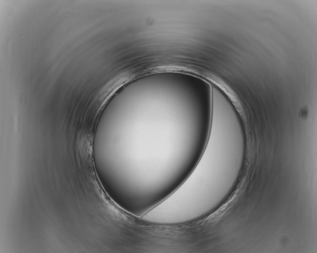 X0000090890809200707271037