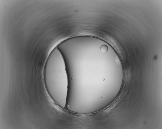 X0000090890814200707271037