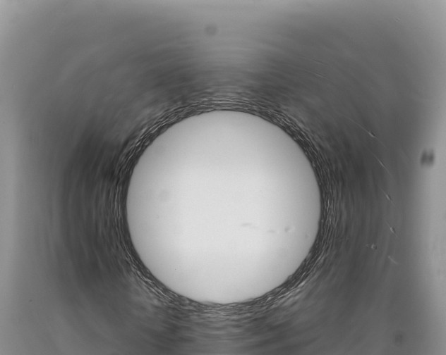 X0000090890818200707271036