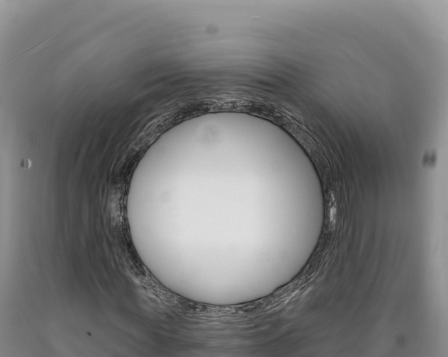X0000090890819200707271036