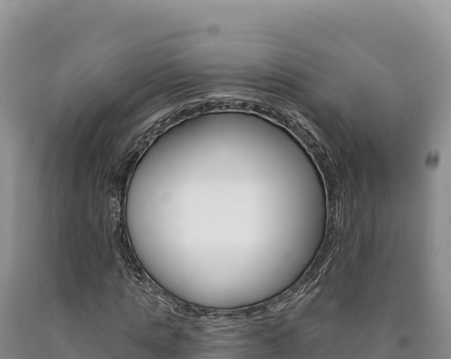 X0000090890821200707271036