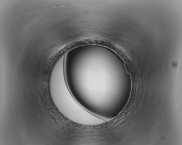 X0000090890822200707271036
