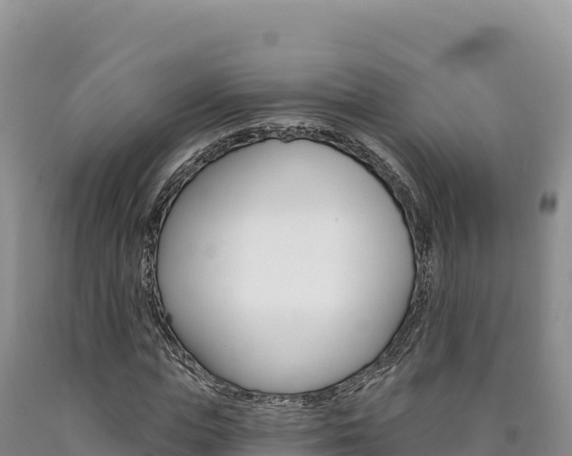 X0000090890823200707271036