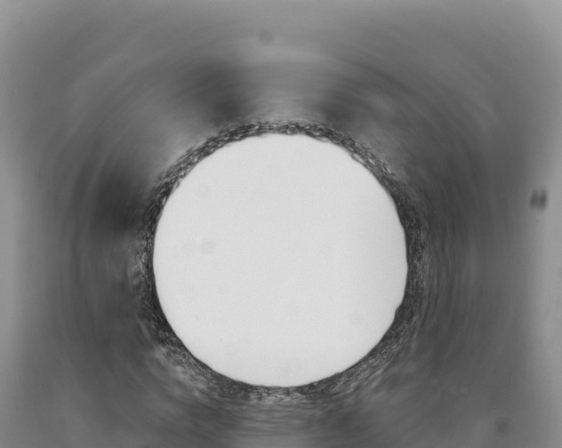X0000090890824200707271036