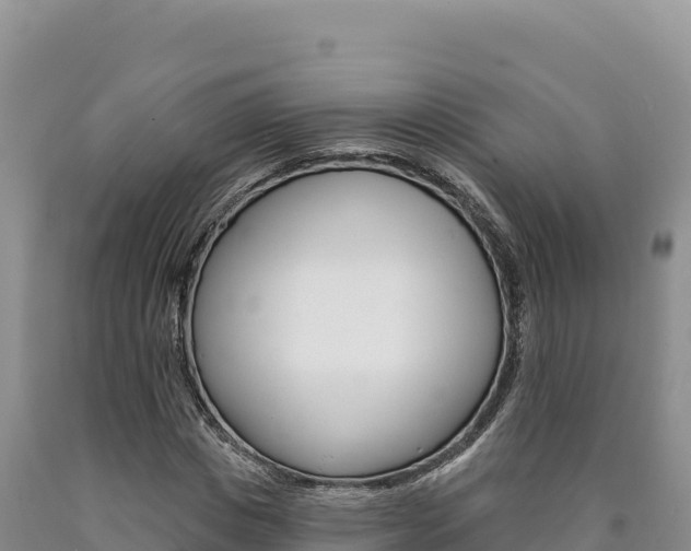 X0000090890825200707271036