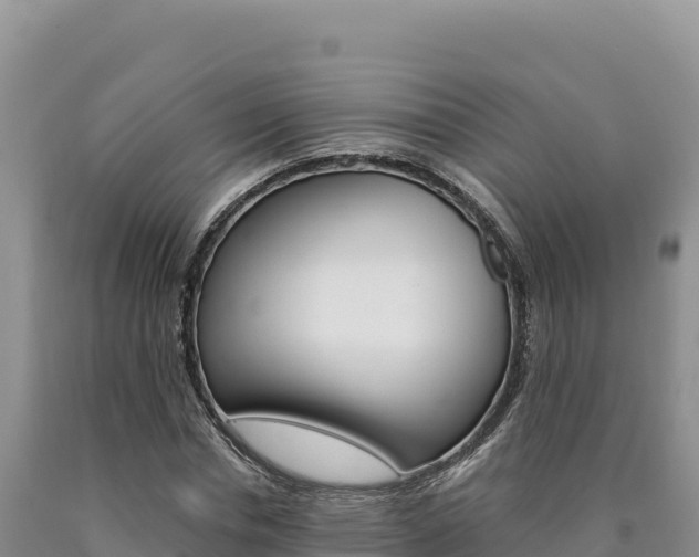 X0000090890826200707271036