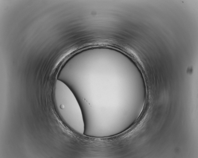 X0000090890827200707271036