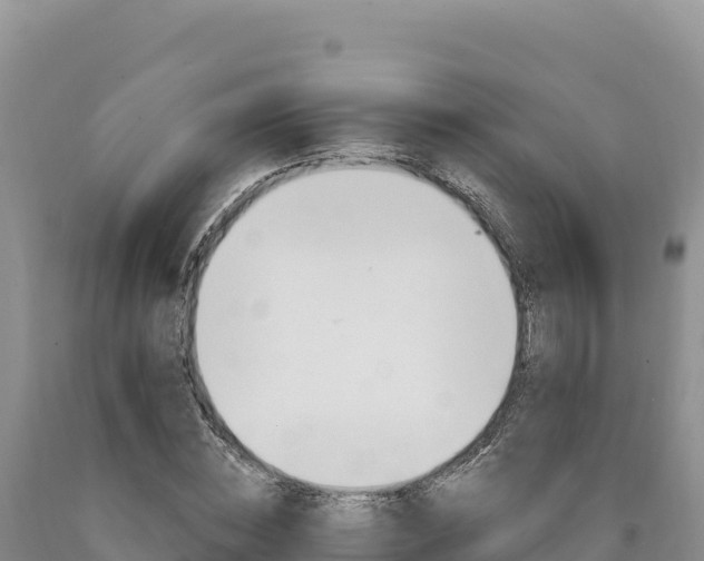 X0000090890828200707271036