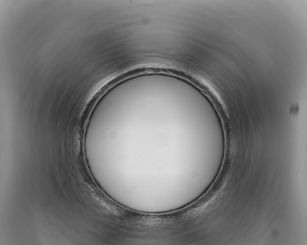 X0000090890829200707271036