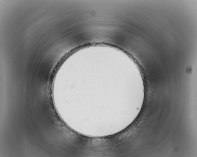 X0000090890832200707271036
