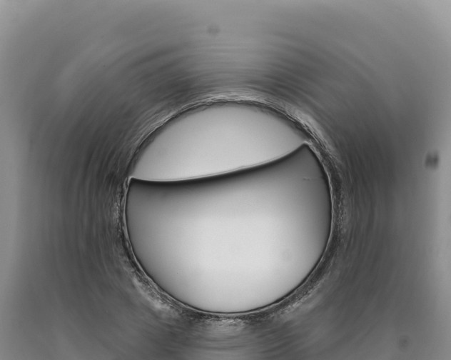 X0000090890833200707271037