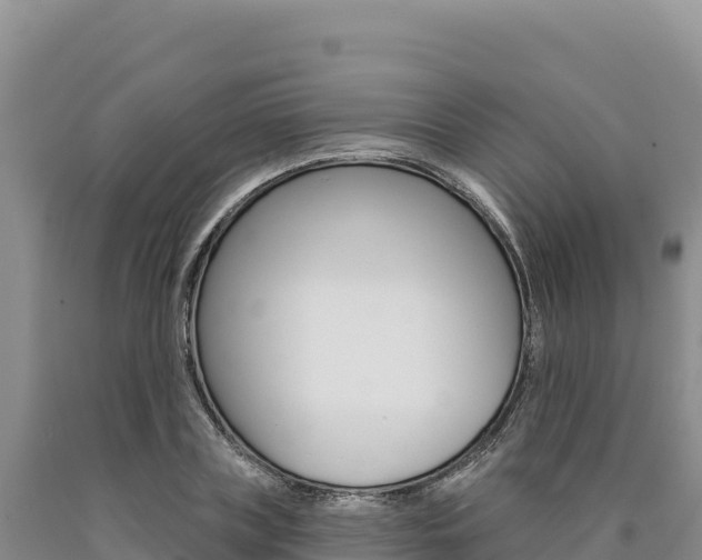 X0000090890835200707271037