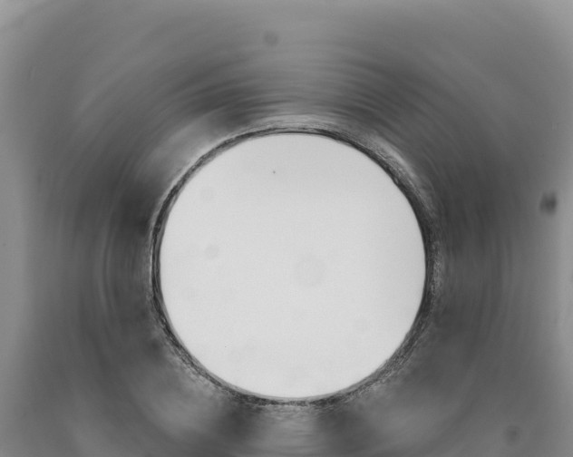 X0000090890836200707271037