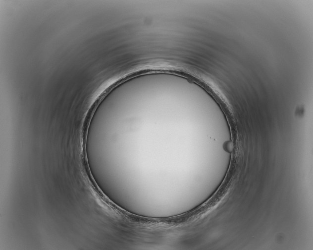 X0000090890837200707271037