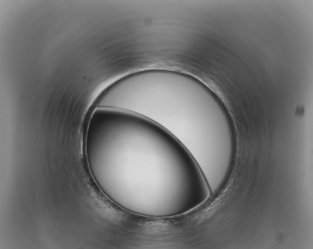 X0000090890838200707271037