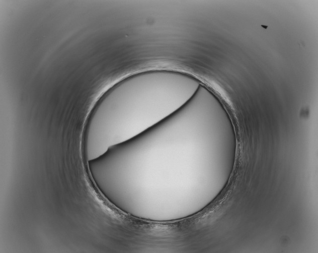 X0000090890839200707271037