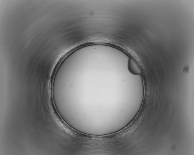 X0000090890840200707271037