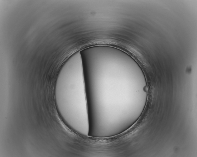 X0000090890841200707271037