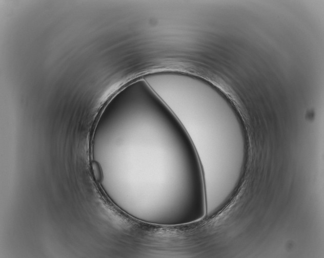 X0000090890842200707271037