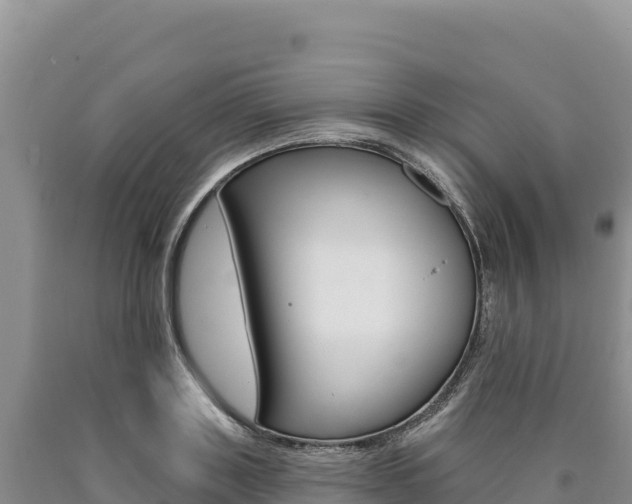 X0000090890843200707271037