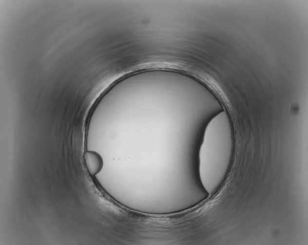 X0000090890844200707271037