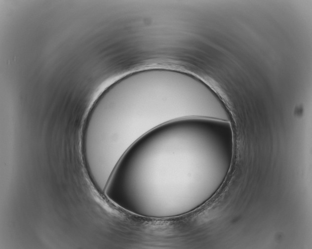 X0000090890846200707271037