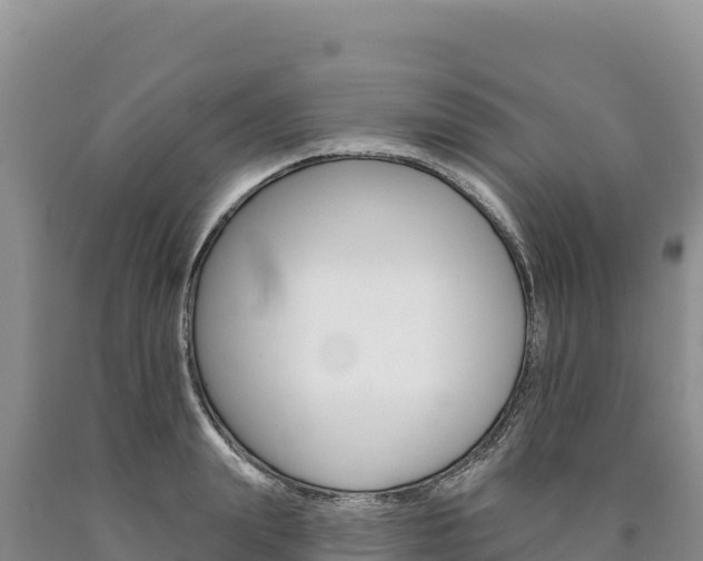 X0000090890847200707271037
