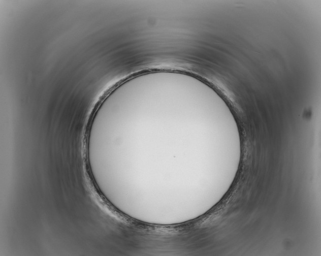 X0000090890848200707271037