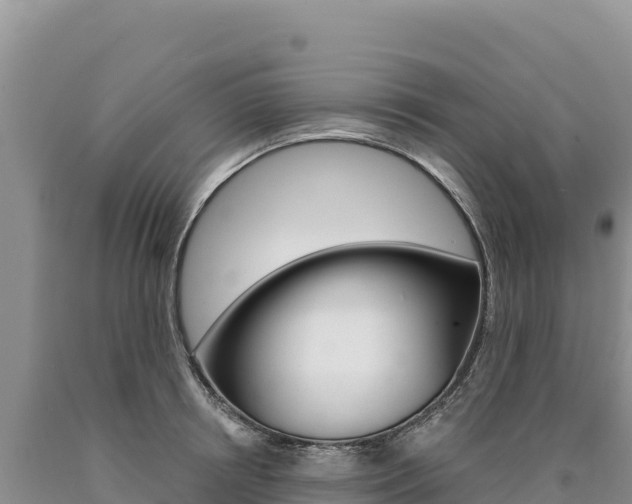 X0000090890850200707271037