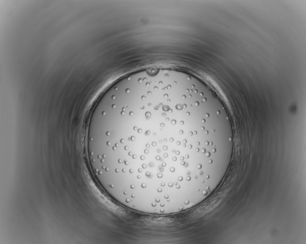 X0000090890851200707271037