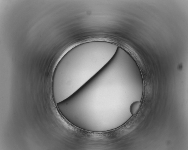 X0000090890852200707271037