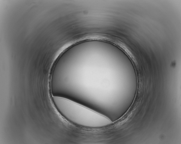 X0000090890853200707271037