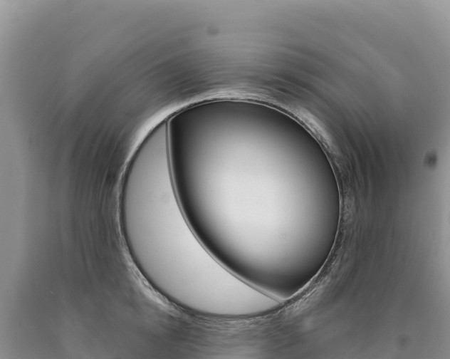 X0000090890854200707271037