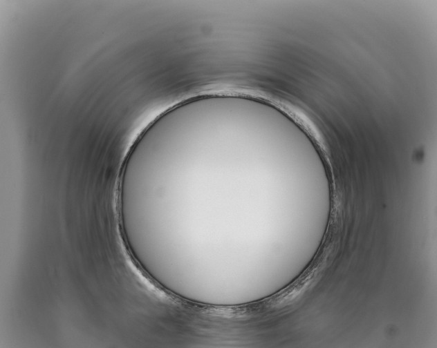 X0000090890855200707271037