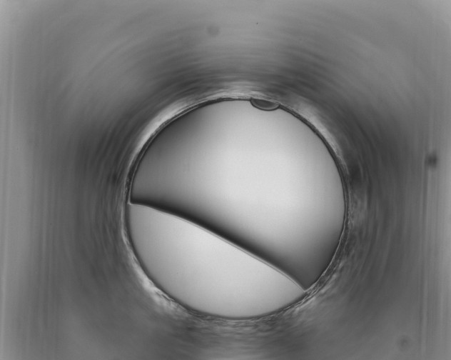 X0000090890861200707271037