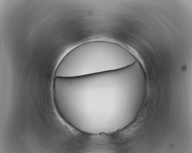 X0000090890863200707271037