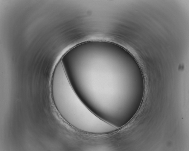 X0000090890864200707271037