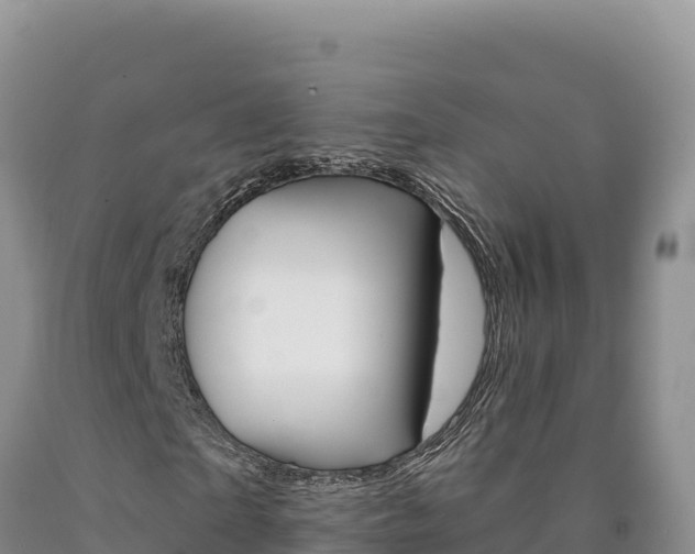 X0000090890865200707271036