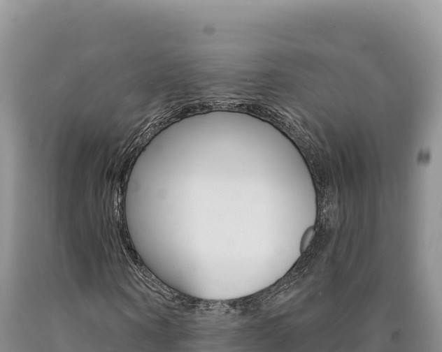 X0000090890866200707271036