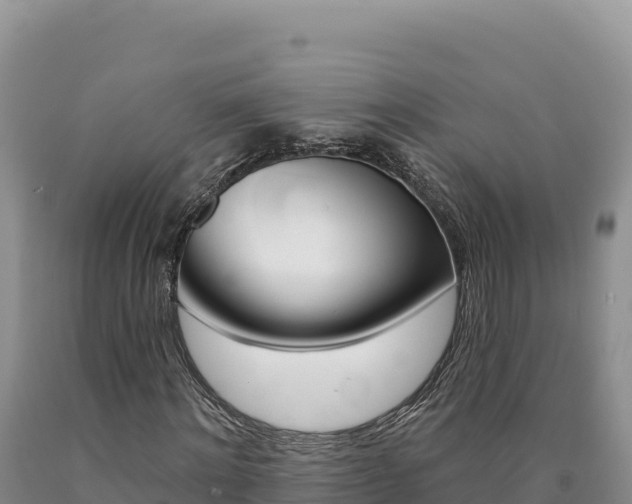 X0000090890868200707271036