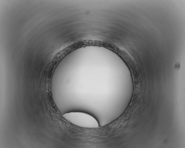 X0000090890870200707271036