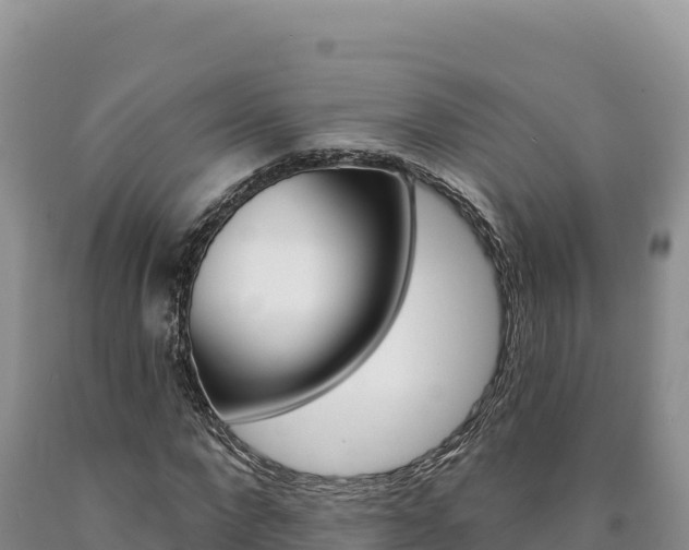 X0000090890872200707271036