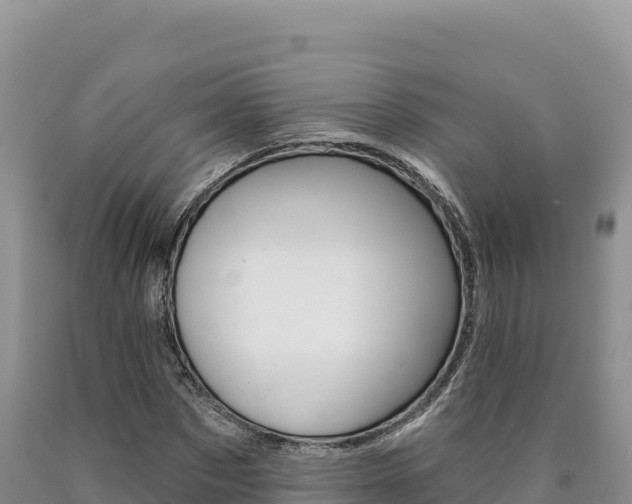 X0000090890873200707271036