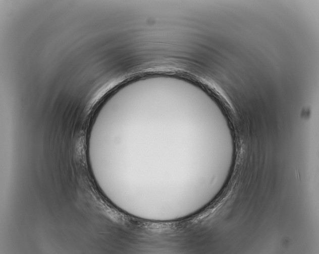 X0000090890874200707271036