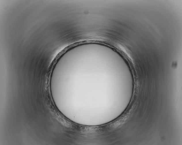 X0000090890875200707271036