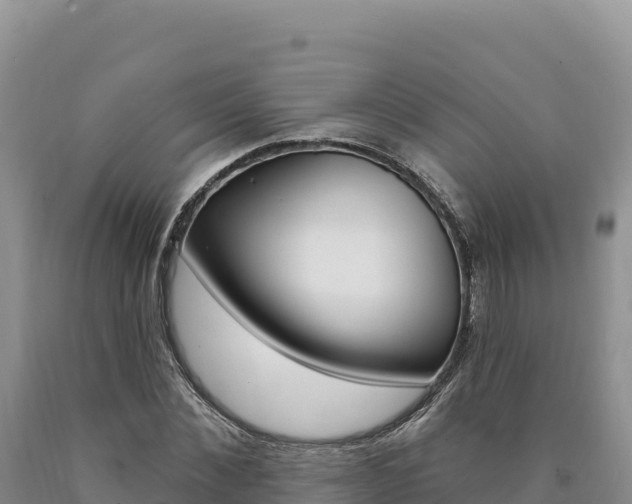 X0000090890876200707271036